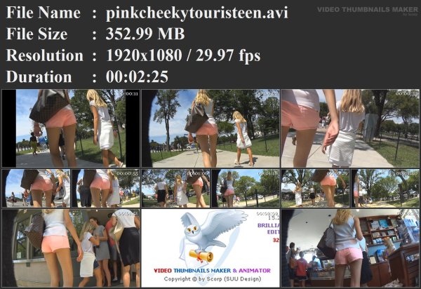 pinkcheekytouristeen.avi.jpg