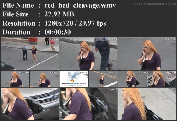 red_hed_cleavage.wmv.jpg