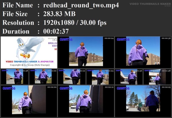 redhead_round_two.mp4.jpg