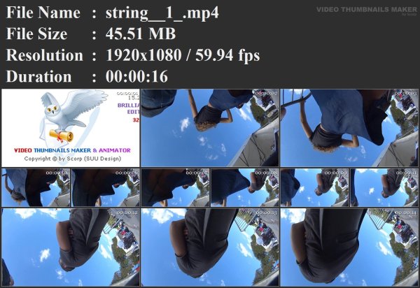 string__1_.mp4.jpg