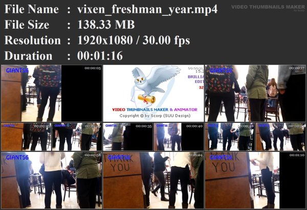 vixen_freshman_year.mp4.jpg