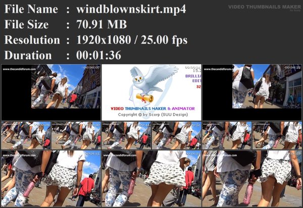 windblownskirt.mp4.jpg