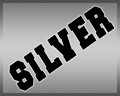 SILVER Member